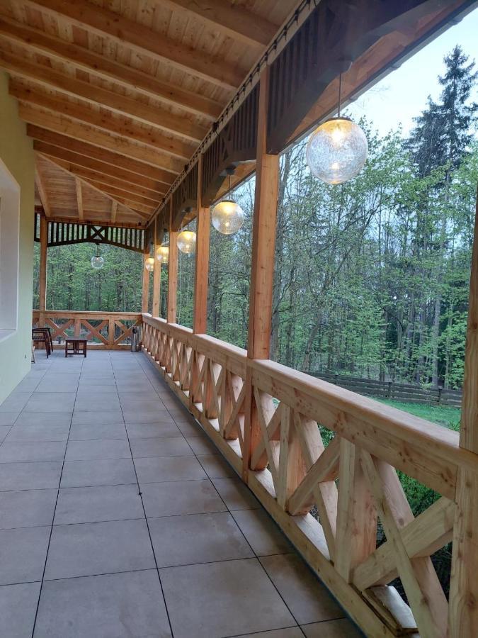 Szwajcarka Willa Z Sauna I Jacuzzi Kudowa-Zdroj Dış mekan fotoğraf
